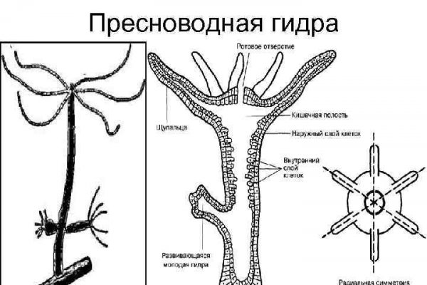 Кракен тор ссылка онион